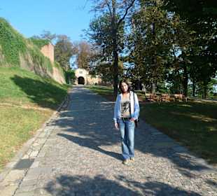 Дорога к замку