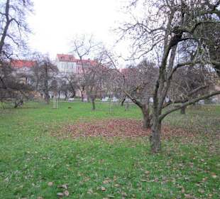 Mala Strana Vojanovy Sady