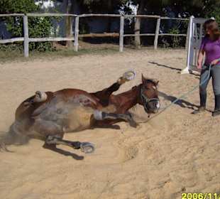 Erst ein Sandbad!