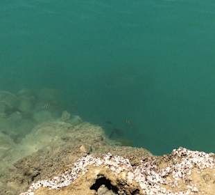 Schnorcheln Makadi Bay