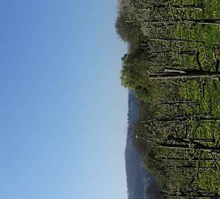 Toller Weg bei Traumwetter