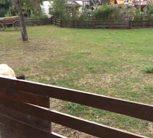 Erlebnispark Tripsdrill