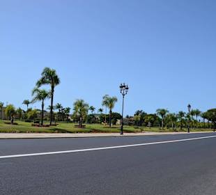 Droga dojazdowa do Pałacu Królewskiego