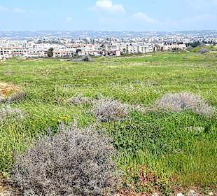 Archäologischer Park Kato Pafos