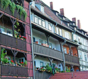 Stadt Erfurt im Bild Sept.2010