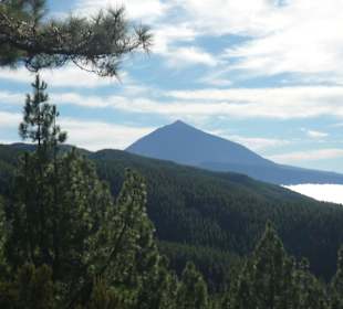 Teide