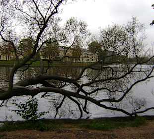 Rzeka Newa