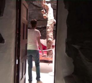 Fundacion Cesar Manrique