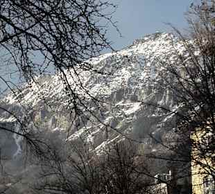 Beim Spaziergang fotografiert 