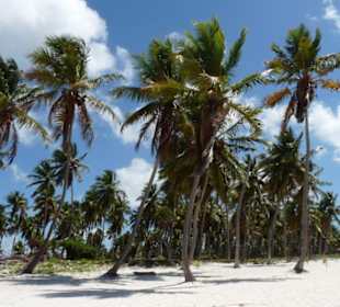 Insel Saona
