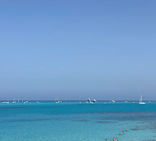 Inselrundfahrt Sardinien