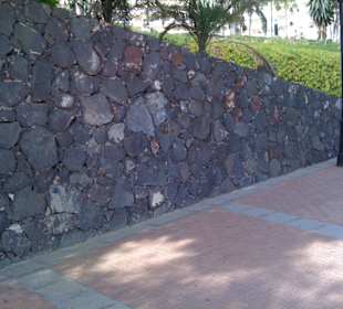 Streifenhörnchen in Jandia Playa