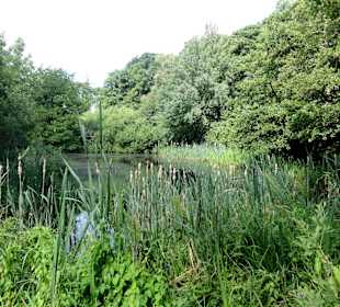 Unterwegs auf dem Huntepadd