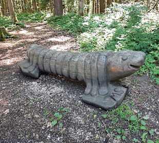 Wandern St. Georgen im Attergau