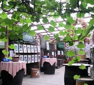 Einblick in das kleine Gurkenmuseum