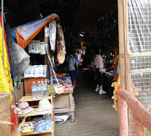 Wildlife Expeditions