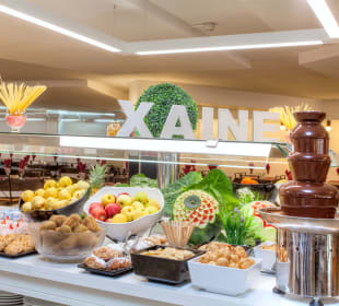 Gastro Hotel Xaine Park