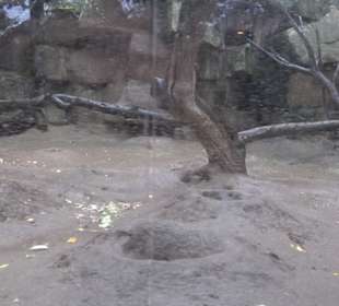 Tierpark