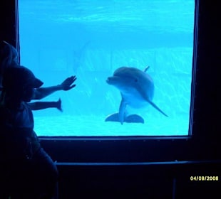 Зоопарк в барселоне