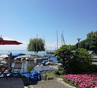 Tretbootverleih Hagnau