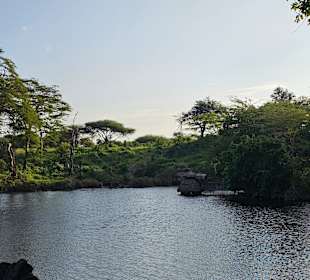Mzima Springs at Tsavo West