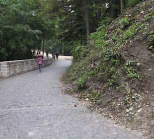 Burgruine Hohenneuffen