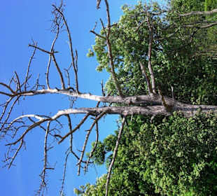 Super Bild wieder meins