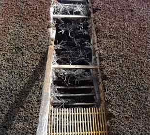 Kurpark Bad Westernkotten