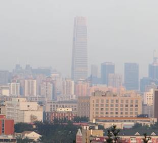 Widok z parku na wieżowce.