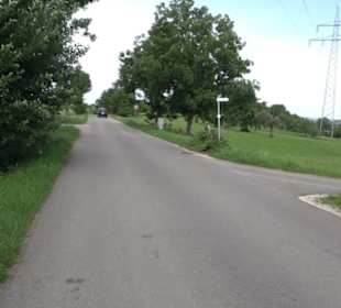 Premiumspazierweg Früchtetrauf-Leisawegle