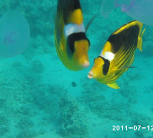 Chees bitte lächeln