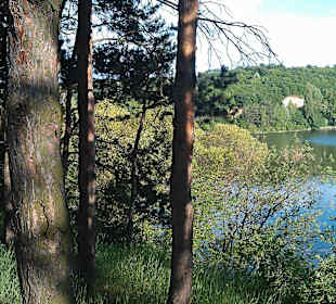 Lacul Gilău