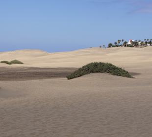 Dünen von Maspalomas