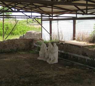 Ausgrabung Dion