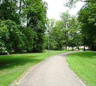 Rundgang durch den Edmund Klein Park