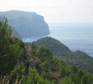 Ausblick auf das Tramuntana Gebirge, sowie Meer