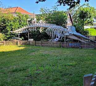 Nationalpark-Haus Wangerooge