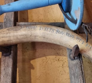Trinkhorn und Melkhocker