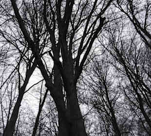 Wildpark Eichert