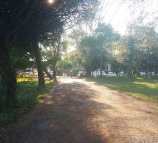 Auf den Weg sollte man bleiben