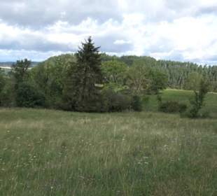 Naturschutzgebiet Zollerhalde Zimmern