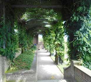 Terrassengarten am Kloster Kamp