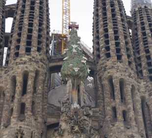 Sagrada Familia, Barcelona