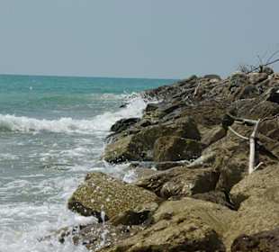 Strand von Bibione 06-2010