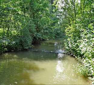 Blick vom Biergarten über die Itz