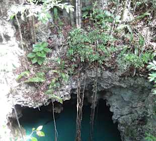 Cenote