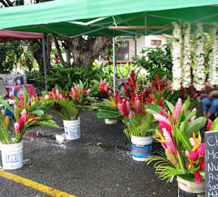 schöne Farben, oder?