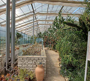 Umgebung + Botanischer Garten Baltschik + Schloss