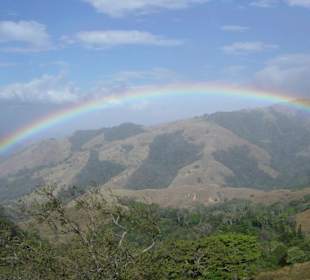 Regenbogen