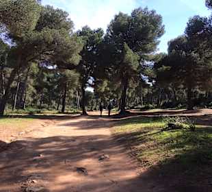 Der Weg nach Cala Mesquida